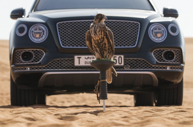 Nhà giàu Trung Đông mua hẳn Bentley Bentayga phiên bản giới hạn phục vụ thú... chơi chim - Ảnh 12.