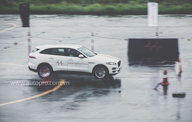 Tắm mưa cùng xe thể thao hạng sang Jaguar - Ảnh 5.