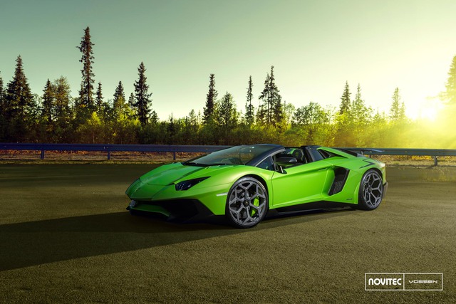 Novitec cho ra mắt bản độ ấn tượng của Lamborghini Aventador SV mui trần - Ảnh 3.