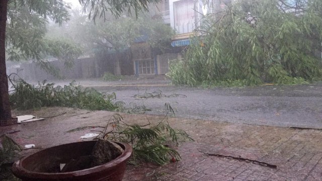 Bão số 12 gây mưa to gió giật kinh hoàng, nhiều xe máy ở Nha Trang, Khánh Hoà bị quật ngã la liệt giữa đường - Ảnh 6.