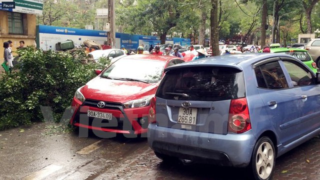Hà Nội: Gió to làm cây đổ đè bẹp ôtô trên phố Phan Huy Chú - Ảnh 4.