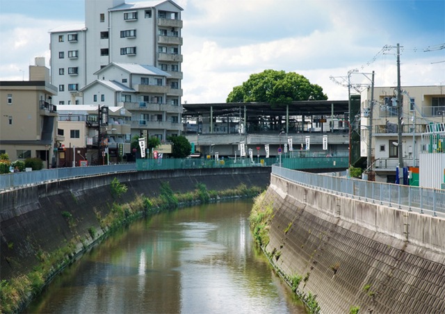 Người Nhật xây ga tàu điện né cây 700 năm tuổi như thế nào - Ảnh 8.