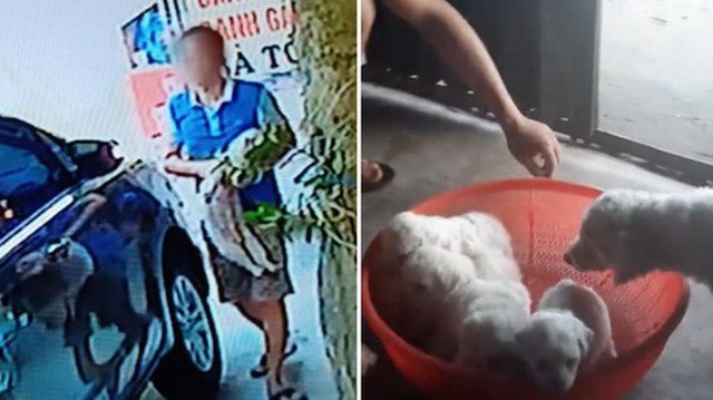 Vụ người đàn ông đi xế hộp bế trộm chó: Nguyên nhân là "yêu động vật và say rượu", đã nhờ người đem trả lại cho khổ chủ