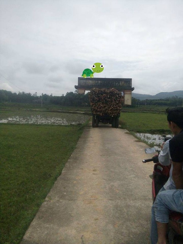 Cười rơi nước mắt cảnh xe công nông chở gỗ quá cao, dỡ cả cổng làng đi bon bon trên đường - Ảnh 2. Cười rơi nước mắt cảnh xe công nông chở gỗ quá cao, dỡ cả cổng làng đi bon bon trên đường - Ảnh 2.