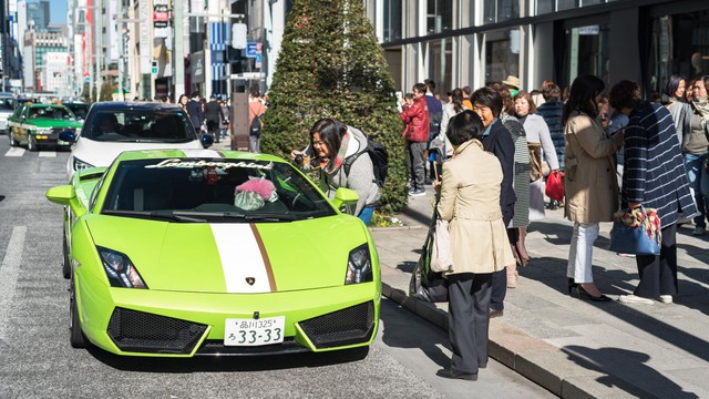 Torako - cô mèo có cuộc sống vương giả trên Lamborghini Gallardo - Ảnh 4.