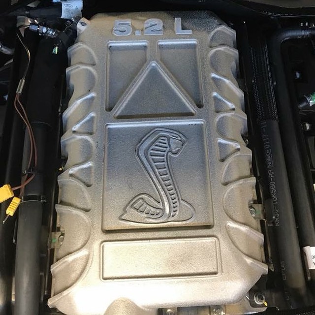 Ford Mustang Shelby GT500 2019 - Rắn chúa dần lộ diện - Ảnh 1.