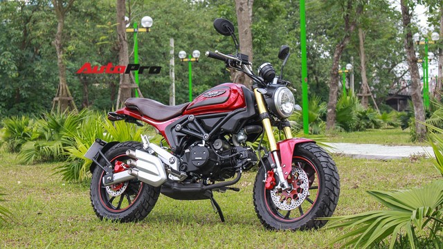 ducati scrambler mini 110cc