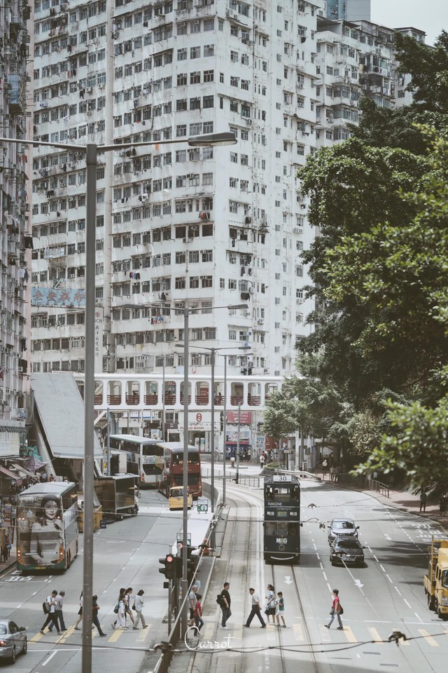 Bộ ảnh: Ngắm nhìn vẻ đẹp hoài cổ của những chiếc xe điện trăm năm tuổi của Hongkong - Ảnh 3.