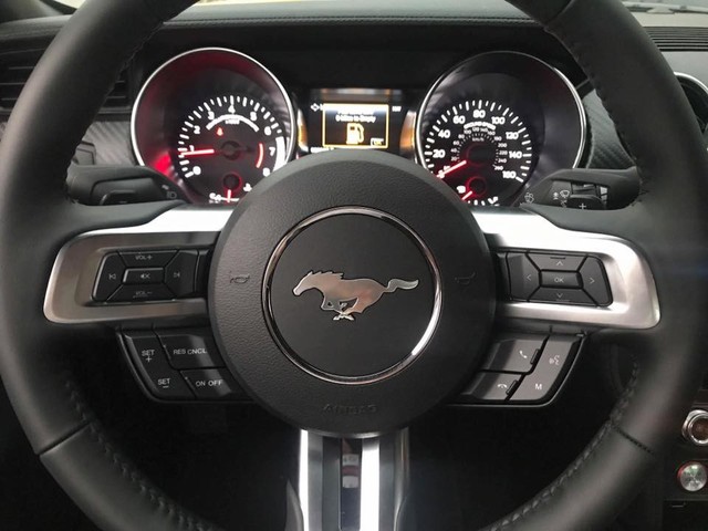 Ngựa hoang Ford Mustang 2018 tiếp tục về Việt Nam - Ảnh 9. Ngựa hoang Ford Mustang 2018 tiếp tục về Việt Nam - Ảnh 9.