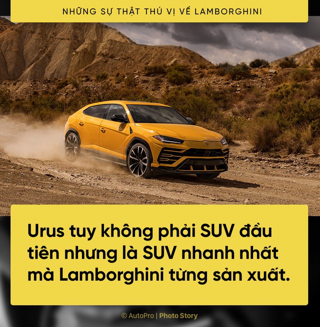 [Photo Story] 10 điểm thú vị ai cũng cần biết về Lamborghini - Ảnh 10.