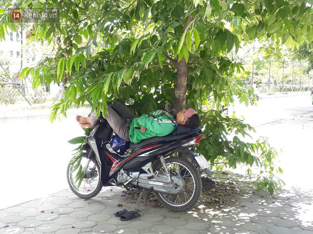 Ảnh: Những giấc ngủ trưa nhọc nhằn dưới tán cây, gầm cầu của người lao động trong đợt nắng nóng đỉnh điểm ở Thủ đô - Ảnh 7.