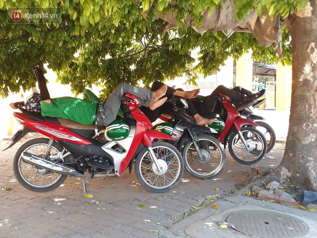 Ảnh: Những giấc ngủ trưa nhọc nhằn dưới tán cây, gầm cầu của người lao động trong đợt nắng nóng đỉnh điểm ở Thủ đô - Ảnh 8. Ảnh: Những giấc ngủ trưa nhọc nhằn dưới tán cây, gầm cầu của người lao động trong đợt nắng nóng đỉnh điểm ở Thủ đô - Ảnh 8.