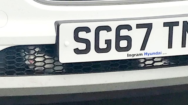 Mắc kẹt trong tản nhiệt xe Hyundai tận 9 ngày, chú mèo vẫn bình an vô sự một cách thần kỳ
