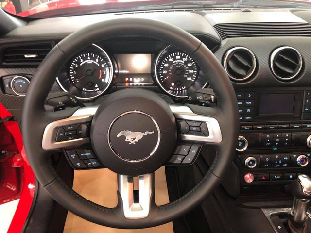 Ford Mustang 2018 thứ 4 cập bến Việt Nam - Ảnh 14.