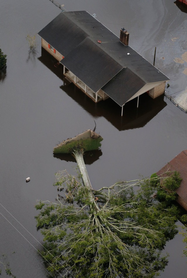 Thành phố hóa thành sông sau siêu bão Florence - Ảnh 11.