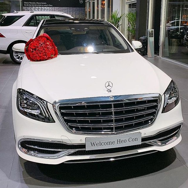 Người đẹp Diệp Lâm Anh mạnh tay chi hơn 7 tỷ tậu Mercedes-Benz S450 Maybach - Ảnh 3.