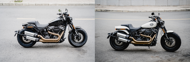 Khách hàng Việt Nam tự thiết kế Harley-Davidson khi mua qua Tiki - Ảnh 2.