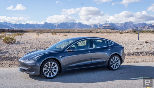 Xe Tesla đang chạy 100 km/h, chế độ tự lái Autopilot vẫn phanh kịp để cứu mạng đại gia đình vịt - Ảnh 3.