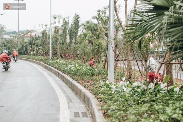 Đường đi bộ ven sông Tô Lịch: Xe máy phi ầm ầm dù có biển cấm, xe đạp vượt 3 hàng rào sắt trong ức chế - Ảnh 20.