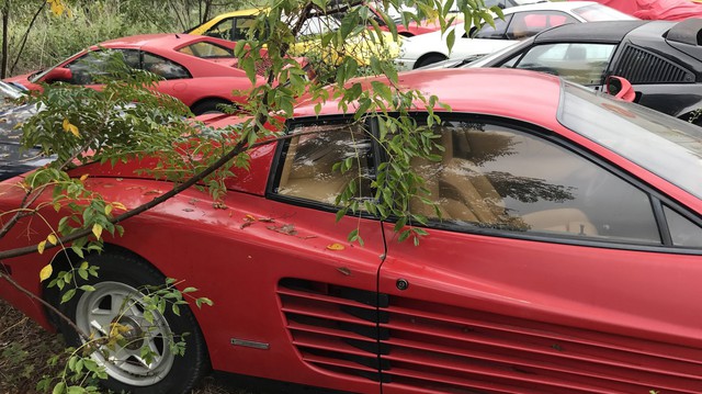 Câu chuyện gây tăng xông đằng sau bãi đỗ hoang nơi Ferrari chất đống không người chăm sóc