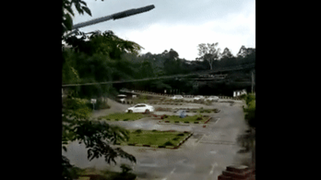 Nữ học viên tập lái làm cả trường dạy hết hồn vì màn đốt lốp khủng khiếp