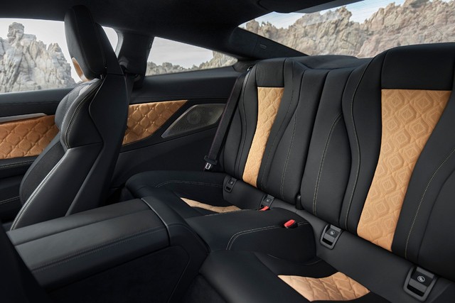 Ra mắt BMW M8 2020: Hai cấu hình Coupe, Convertible, có luôn bản hiệu suất cao Competition - Ảnh 11.