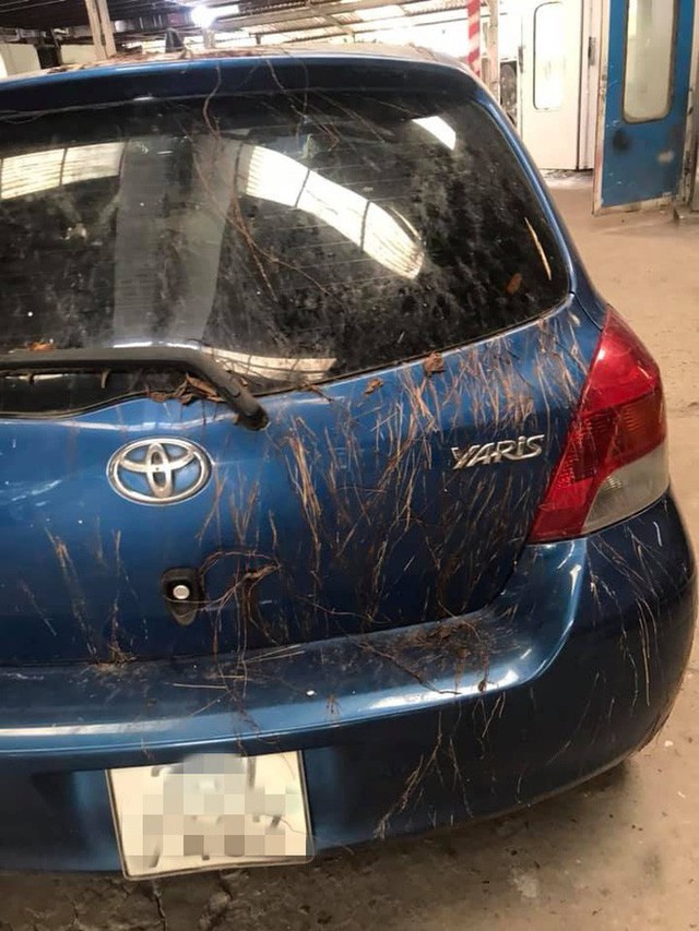 Xôn xao chiếc Toyota Yaris bị rễ cây bám dày đặc - Ảnh 1.