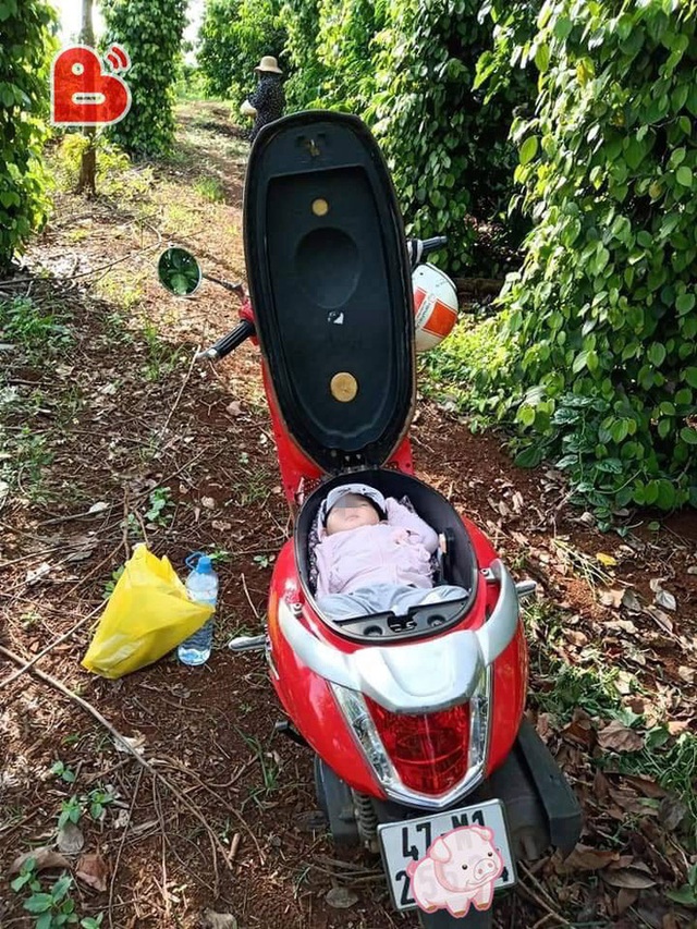 Đặt con v&agrave;o cốp xe m&aacute;y v&igrave; mẹ mải l&agrave;m rẫy, h&igrave;nh ảnh khiến d&acirc;n mạng tranh c&atilde;i gay gắt - Ảnh 1.