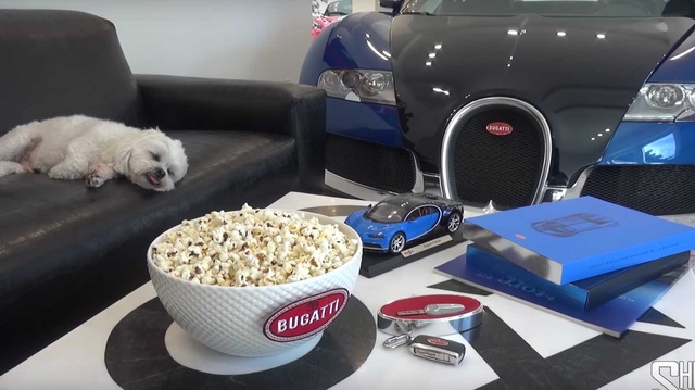 Căn phòng khách này còn xịn hơn khối garage với sự xuất hiện của LaFerrari, Veyron và 599 GTO
