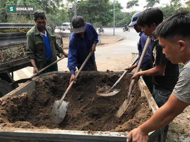 Tài xế nghỉ làm đi chở thuê cây cảnh ngày cận Tết kiếm tiền triệu mỗi ngày - Ảnh 4.