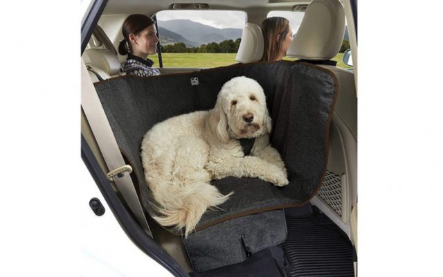 Ngắm những mẫu ghế dành cho cún cưng trên xe hơi  - Ảnh 7.