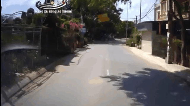 CLIP: Đang chạy trên đường làng, tài xế bỗng choáng váng với cảnh tượng trước mũi xe tải