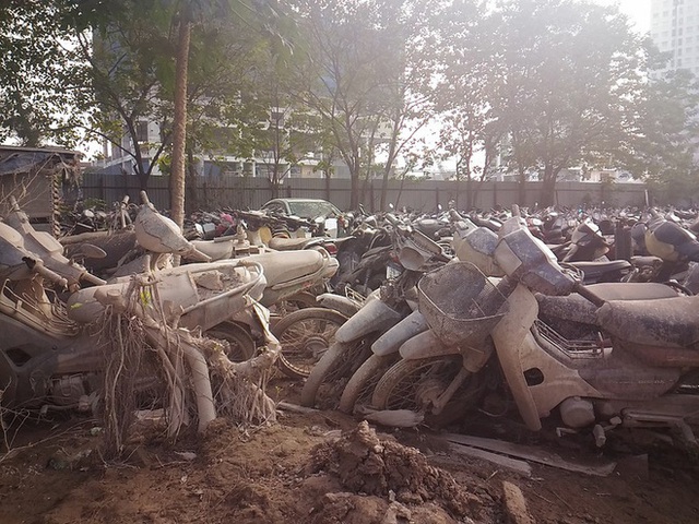 Nghĩa địa xe ở Hà Nội: Hàng nghìn chiếc chất lên nhau như sắt vụn, không biết bao giờ mới được thanh lý - Ảnh 5.