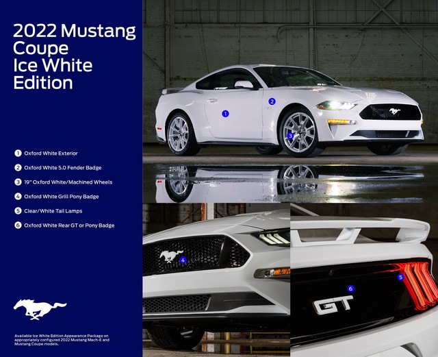 Black Edition xưa rồi, Ford mới đây đã ra mắt White Edition cho cả 2 phiên bản Mustang - Ảnh 2.