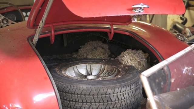 Người chủ bỏ mặc 5 chiếc xe đến thảm thương: Chuột làm tổ từ trong ra ngoài, chuyên gia định giá nhanh 4 triệu USD - Ảnh 9.