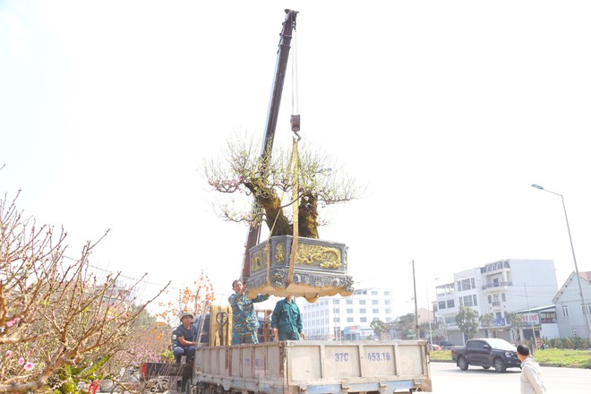 Thu nhập của 'người chở mùa xuân' giảm mạnh vụ Tết- Ảnh 10. Thu nhập của 'người chở mùa xuân' giảm mạnh vụ Tết- Ảnh 10.