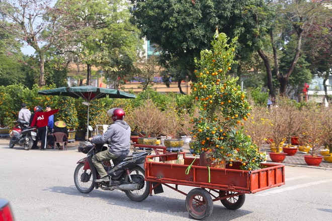 Thu nhập của 'người chở mùa xuân' giảm mạnh vụ Tết- Ảnh 6. Thu nhập của 'người chở mùa xuân' giảm mạnh vụ Tết- Ảnh 6.
