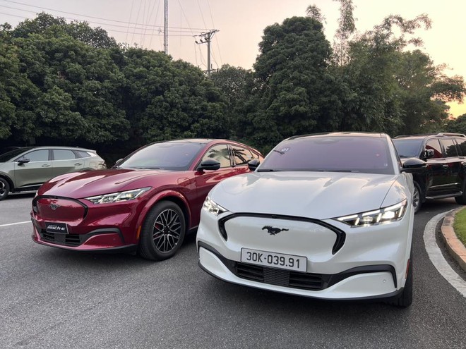 Ford Mustang Mach-E bất ngờ bán chạy hơn cả 'dân chơi' Honda Civic Type R: 'Ngựa hoang điện' đã tìm được chuồng ở Việt Nam?- Ảnh 5. Ford Mustang Mach-E bất ngờ bán chạy hơn cả 'dân chơi' Honda Civic Type R: 'Ngựa hoang điện' đã tìm được chuồng ở Việt Nam?- Ảnh 5.