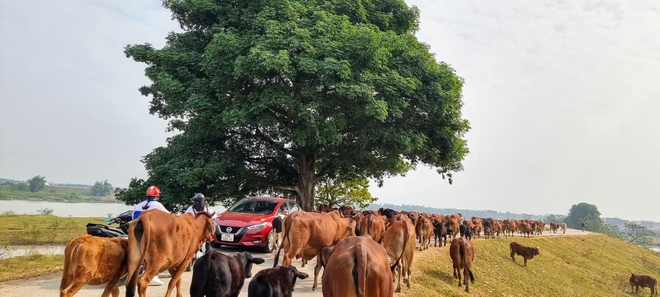 Chủ xe Nissan Almera: 'Bị cả chủ xe i10 chê ì nhưng có ngồi cầm lái mới thấy thích hơn cả City'- Ảnh 12. Chủ xe Nissan Almera: 'Bị cả chủ xe i10 chê ì nhưng có ngồi cầm lái mới thấy thích hơn cả City'- Ảnh 12.