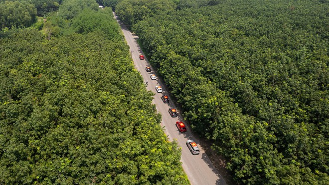 Đoàn xe Skoda vượt 400km tới Buôn Ma Thuột: Băng rừng, xuyên mưa trắng trời mới thấy rõ khung gầm quan trọng thế nào- Ảnh 6. Đoàn xe Skoda vượt 400km tới Buôn Ma Thuột: Băng rừng, xuyên mưa trắng trời mới thấy rõ khung gầm quan trọng thế nào- Ảnh 6.