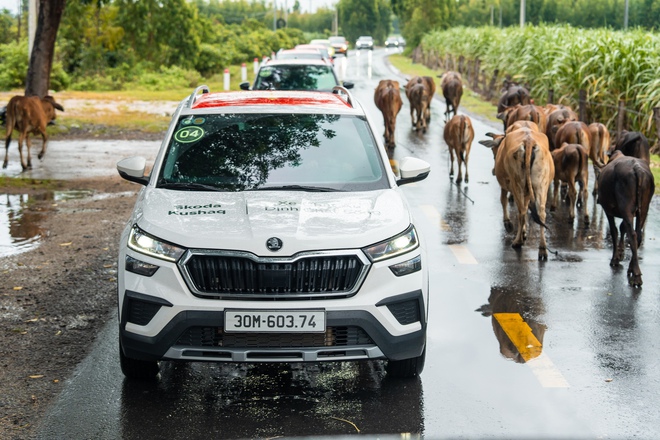Chia tay Tây Nguyên đại ngàn, đoàn xe Skoda xuôi về miền biển: Hơn 300km với nhiều cung bậc và phần thưởng chỉ dành cho người xứng đáng- Ảnh 11. Chia tay Tây Nguyên đại ngàn, đoàn xe Skoda xuôi về miền biển: Hơn 300km với nhiều cung bậc và phần thưởng chỉ dành cho người xứng đáng- Ảnh 11.