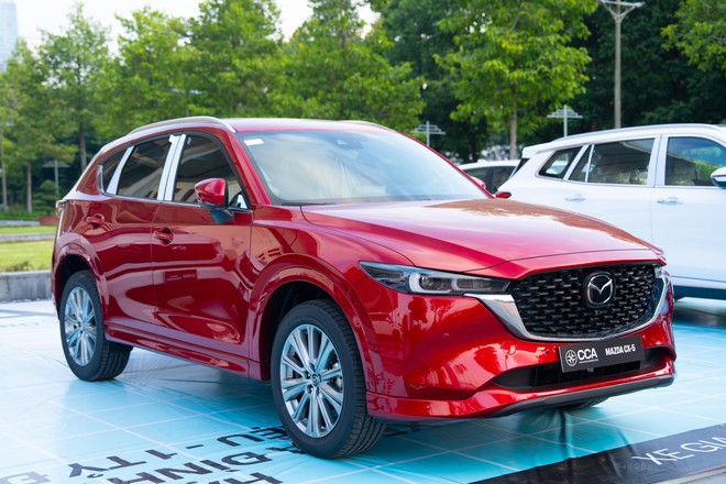 Lần đầu tới triển l&atilde;m &ocirc; t&ocirc; ở Việt Nam m&agrave; t&ocirc;i chỉ quẩn quanh một khu vực v&igrave; biết r&otilde; thứ m&igrave;nh cần t&igrave;m - Ảnh 8.
