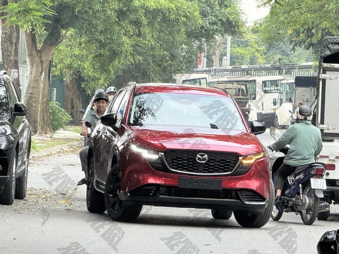 6 xe Nhật rục rịch về Việt Nam cuối năm: Có SUV đấu Land Cruiser, có xe lần đầu dùng hybrid - Ảnh 1.