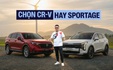 Honda CR-V đấu với Kia Sportage 2026: Đâu mới là 'ông vua' thực sự của phân khúc gầm cao cỡ C?