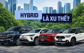 Xe điện bán nhiều thì rõ rồi nhưng hybrid tăng thế này mới rõ 1 điều khó ai phủ nhận được tại Việt Nam!
