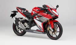 Honda Cbr250Rr : Người Dùng Đánh Giá Honda Cbr250Rr: Làm Thêm 4 Triệu/Tháng  Dư Sức Nuôi Xe Nhưng Chưa Xứng Danh