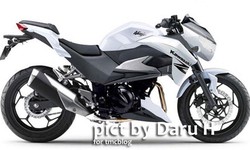 Kawasaki Ninja 250 2023  Giá Ninja 250  Thông số chi tiết