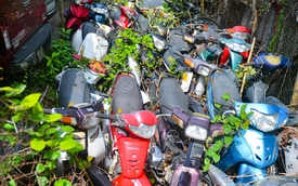 Ảnh, clip: Hàng nghìn chiếc xe máy phơi nắng, dây leo quấn chằng chịt tại bãi trông giữ xe vi phạm ở Hà Nội