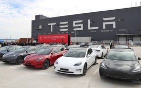Người Trung Quốc yêu thích đặc biệt với Tesla - Các nhà sản xuất xe điện nội địa cũng phải "ghen tị" ra mặt
