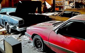 40 năm sau khi bị bỏ hoang, bộ sưu tập xe Chevrolet, Mercury ngập trong cát bụi: Chủ nhân là người trúng xổ số nhưng bị phá sản